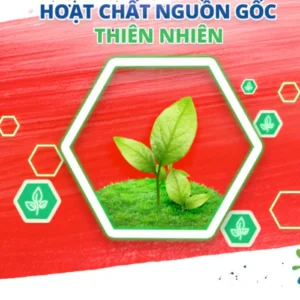 Nước giặt OMO Matic